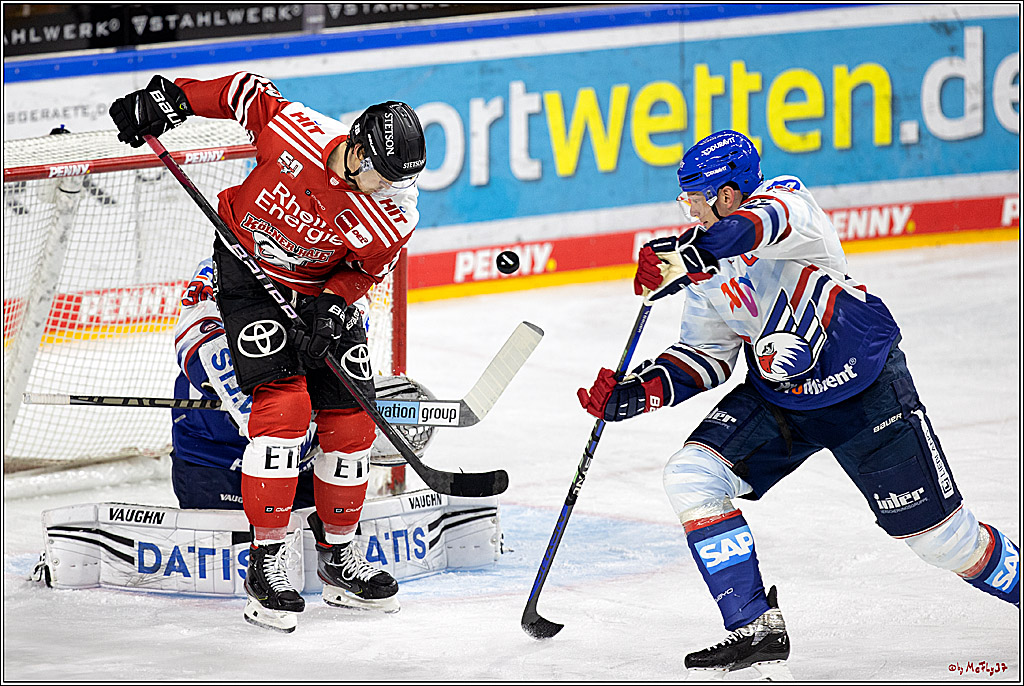 PENNY DEL;  Kölner Haie - Adler Mannheim; Köln, 04.11.2022